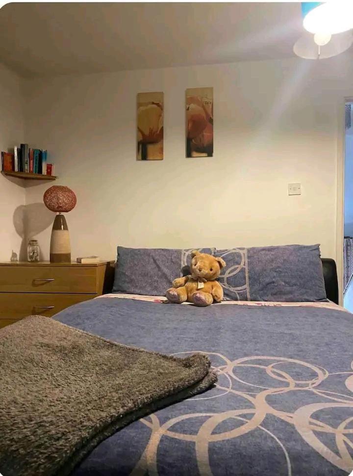 Apartamento Castleton Belfast Exterior foto
