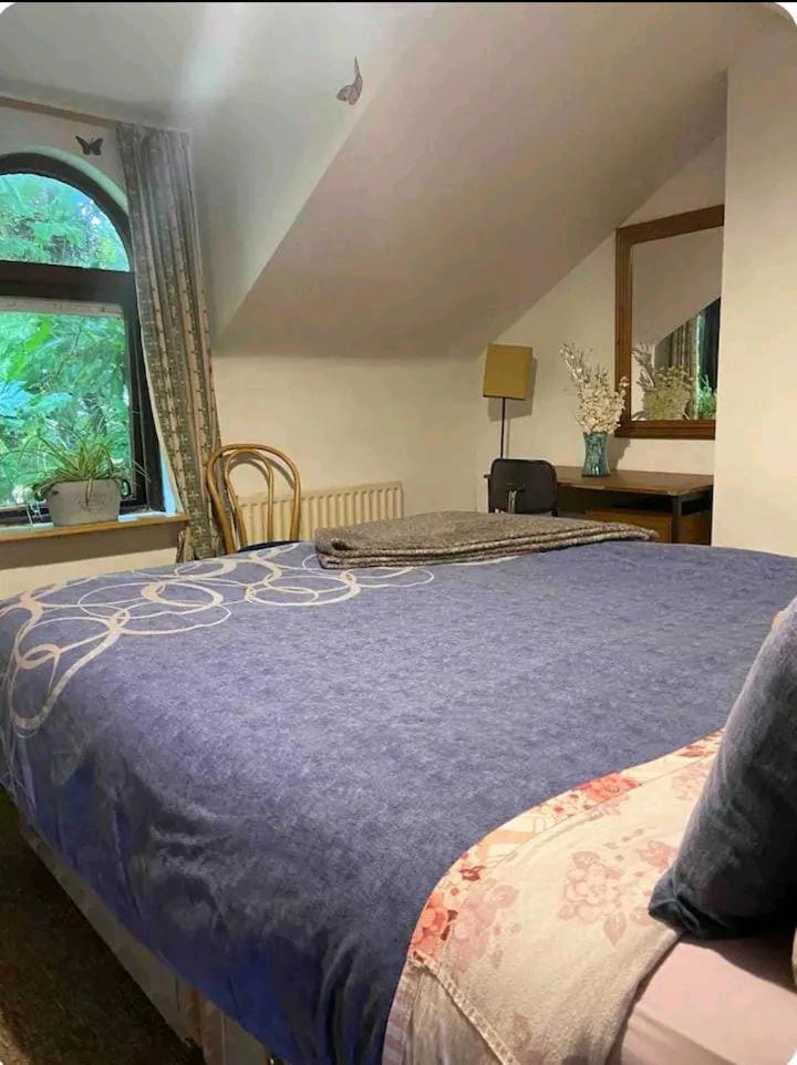 Apartamento Castleton Belfast Exterior foto